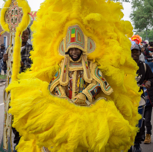 Mardi Gras Indians. New Orleans. 2018.