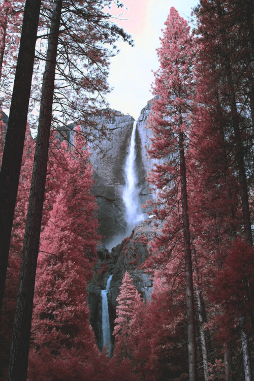 lsleofskye:Yosemite National Park | brendan.bannister