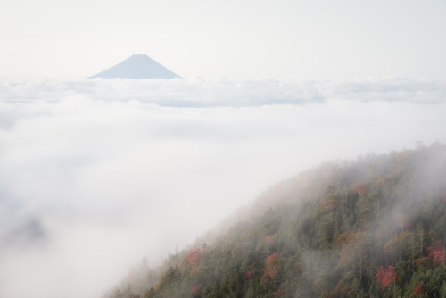 vurtual:In the Morning Light (by Yuga Kurita)