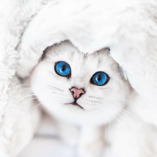 aww-so-pretty