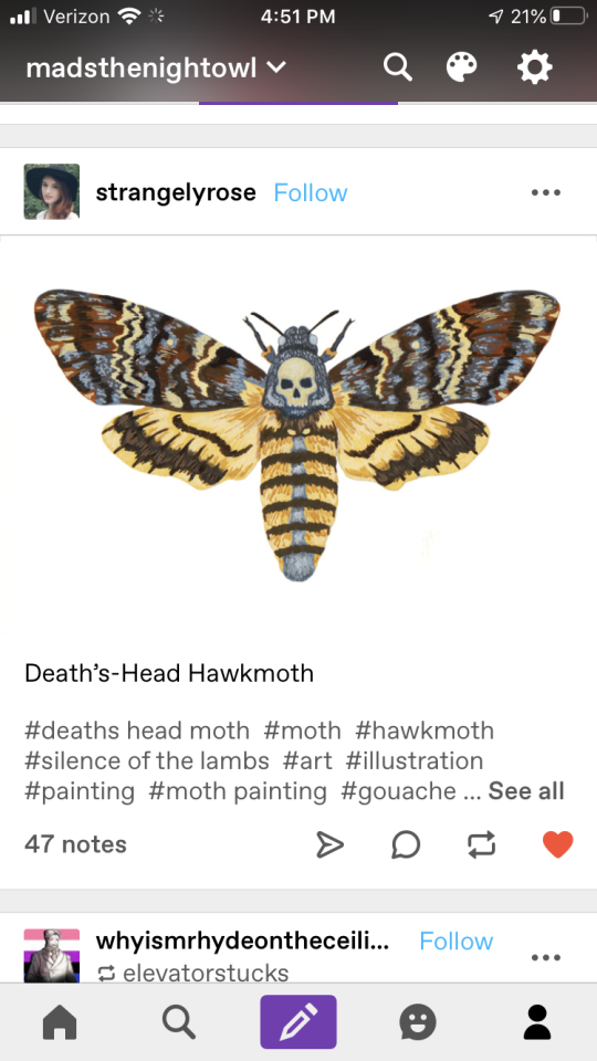 hawkmoth doll