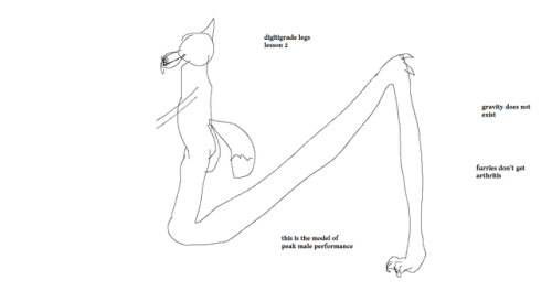 digitigrade legs on Tumblr