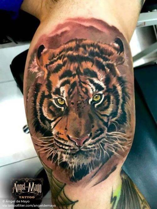 By Ángel de Mayo, done at Ángel de Mayo Tattoo, Alcalá de... angeldemayo;tiger;feline;inner arm;big;animal;facebook;realistic;twitter;portrait