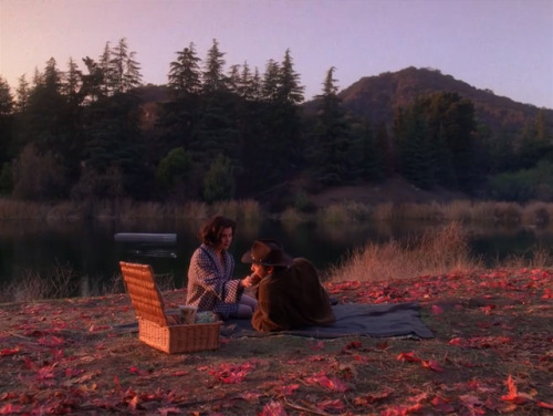 love:Twin Peaks (1990-1991)