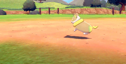 shelgon