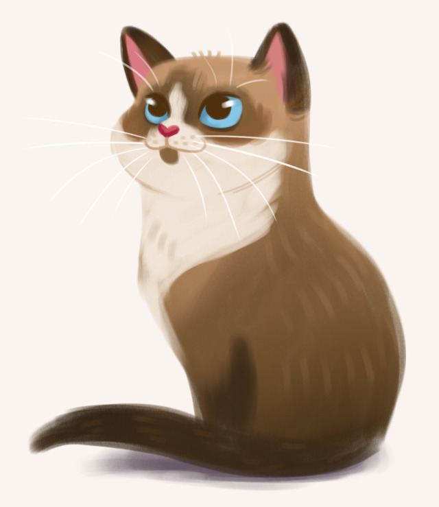 Daily Cat Drawings 086 Snowshoe