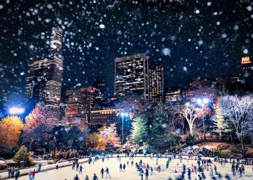 newyorkcityfeelings:The Christmas Skate by Gina Brake...