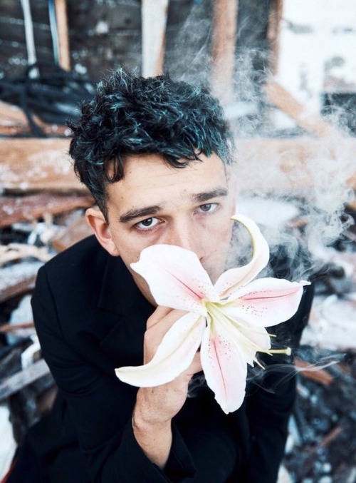 matty healy the 1975 the 1975 band edits moodboards moodboard pink pastel blog pastel pink