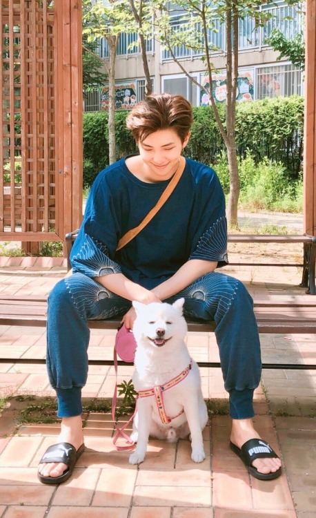 p:rapmon the dog | Tumblr