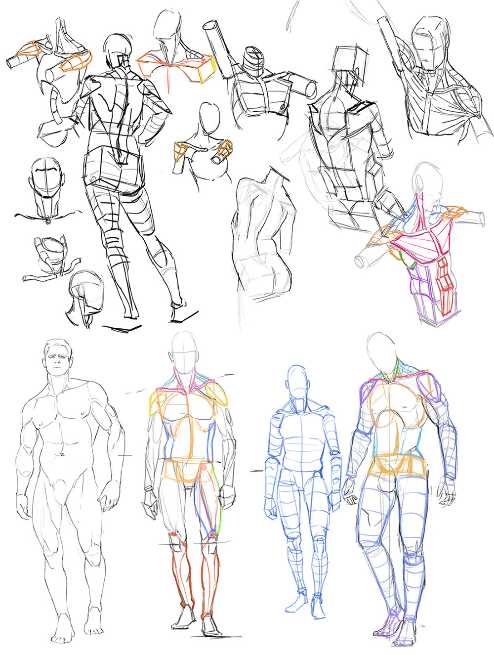 Kasia Art - Practice sheet. Anatomy and heads. Some are...