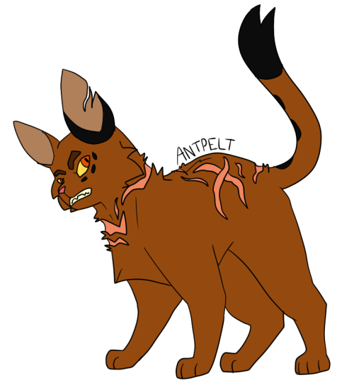 antpelt on Tumblr