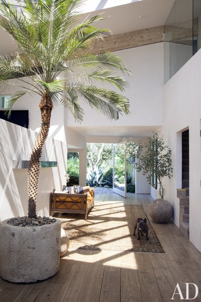 Beach House Life style X
