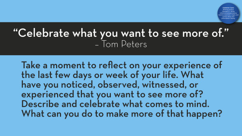 #826“Celebrate what you want to see more of.” — Tom Peters