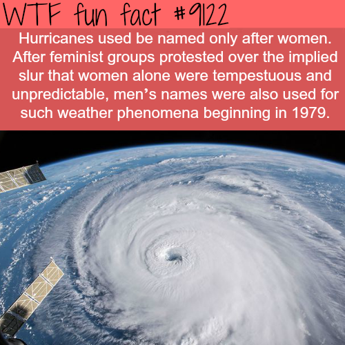 wtf-fun-factss:Why Hurricanes are Named After Females - WTF...