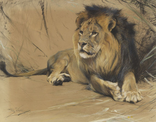 Lions by Wilhelm Kuhnert (1865-1926)