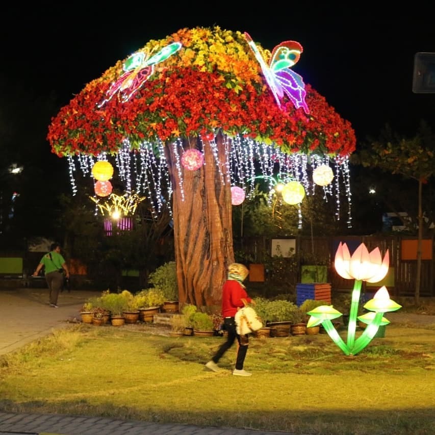 Wisata Liburan Bjbr Probolinggo Ketika Mbah Treeman