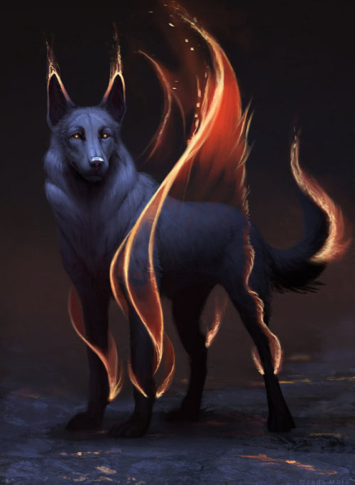 jademere:Wolf/dog post for the end of...