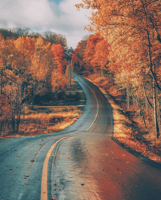 fall | Tumblr