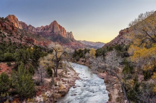 goparks:Looking to explore Zion National Park this summer?...