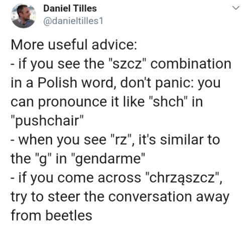 Funny Polish Memes