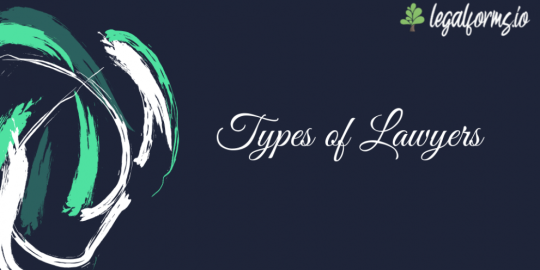 What are the types of lawyers