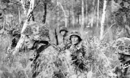 fascistknights:Waffen-SS and the Russian wilderness by...