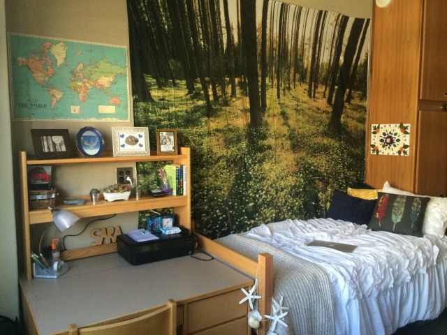 Fuck Yeah Cool Dorm Rooms UCLA