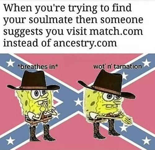 lol funny humor funny pictures funny pics funny memes meme memes lmao
