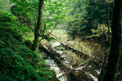 90377:Ilsefälle by Oliver HenzeFacebook | Waldlandschaft |...