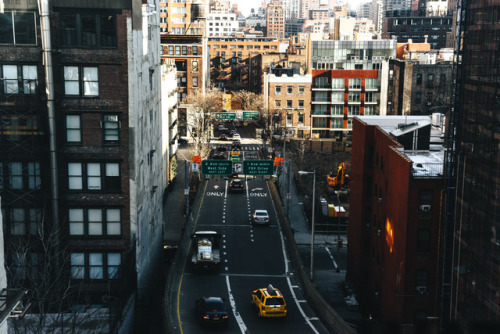 Morning Light by Roosevelt Island, NYC.Newbery Rosario || IG:...