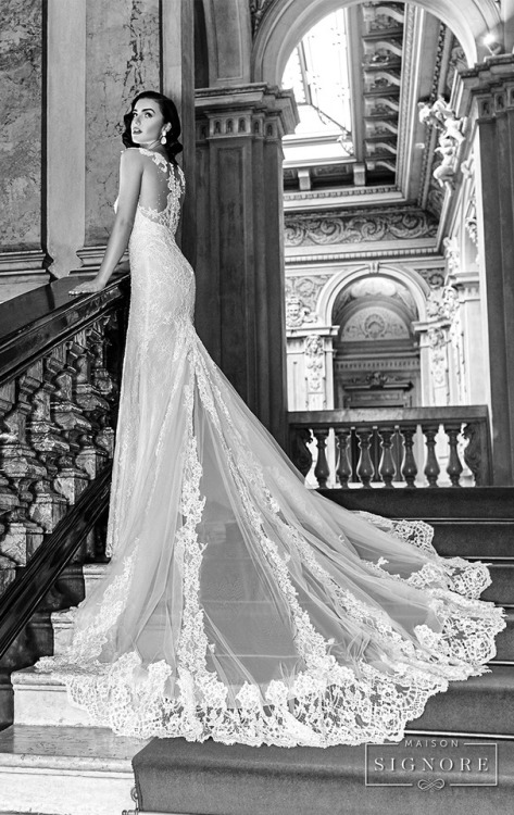 Maison Signore Exquisite Made in Italy Wedding Dresses — Now...
