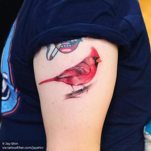 By Jay Shin, done at Black Fish Tattoo, Manhattan.... animal;bird;cardinal;facebook;illustrative;jayshin;medium size;twitter;upper arm