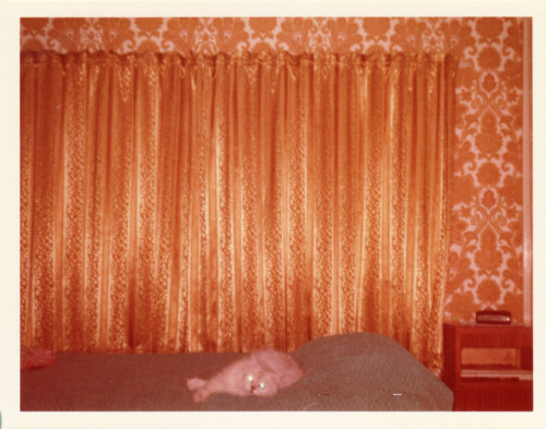 70s Bedroom Tumblr