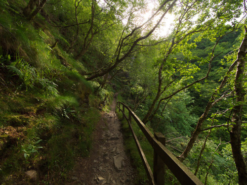 90377:Dhoon Glen by jonas andersson