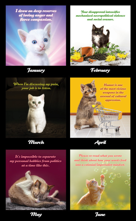 ANNOUNCING THE 2020 SOCIAL JUSTICE KITTENS CALENDARIt’s 2020,...