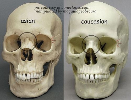 anatoref:Eyes of Different RacesRow 1, 5 (Right) &...