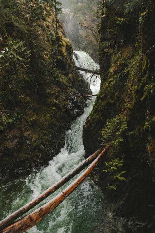 natura-e:xshaydx:Vancouver Island thophoto : @xshaydx-...