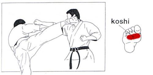 severelyfuturisticharmony:The Technique of KarateKarate (空手)...