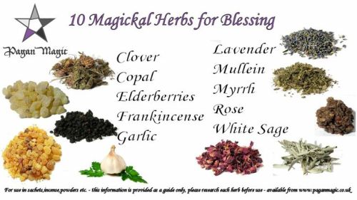 herbalism pagan hedge witch wicca spells wicca spells book of shadows shamanic herb magic talisman amulet magic charm house blessing blessings banishing banishing spell