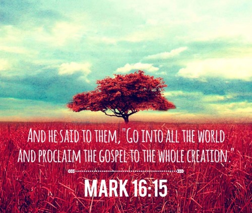 Mark 16 15 ESV And He Said To Them Go Into All Faithful In Christ mark-16-15-esv-and-he-said-to-them-go-into-all-faithful-in-christ