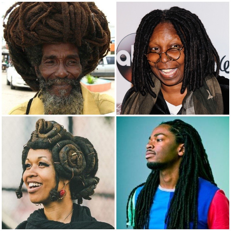 Beauty Fades Dumb Is Forever Dreadlocks V Elflocks