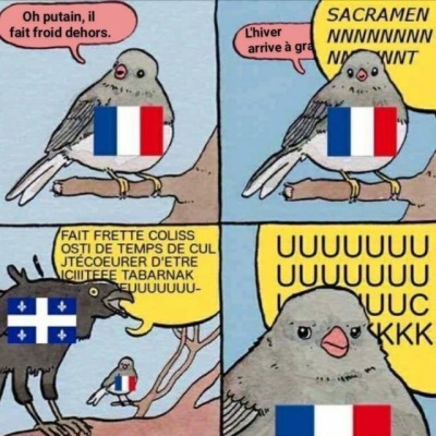 meme francais | Tumblr