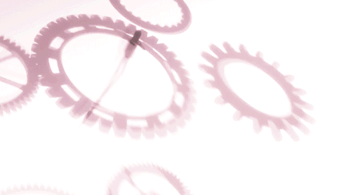 Gran parte del successo occidentale di Steins;Gate è da attribuire all'adattamento animato curato dallo studio d'animazione White Fox.