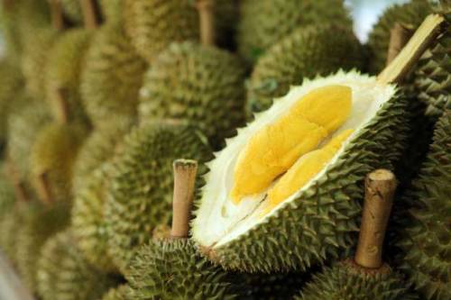 This spiky green fresh fruit, famously termed when the king of...