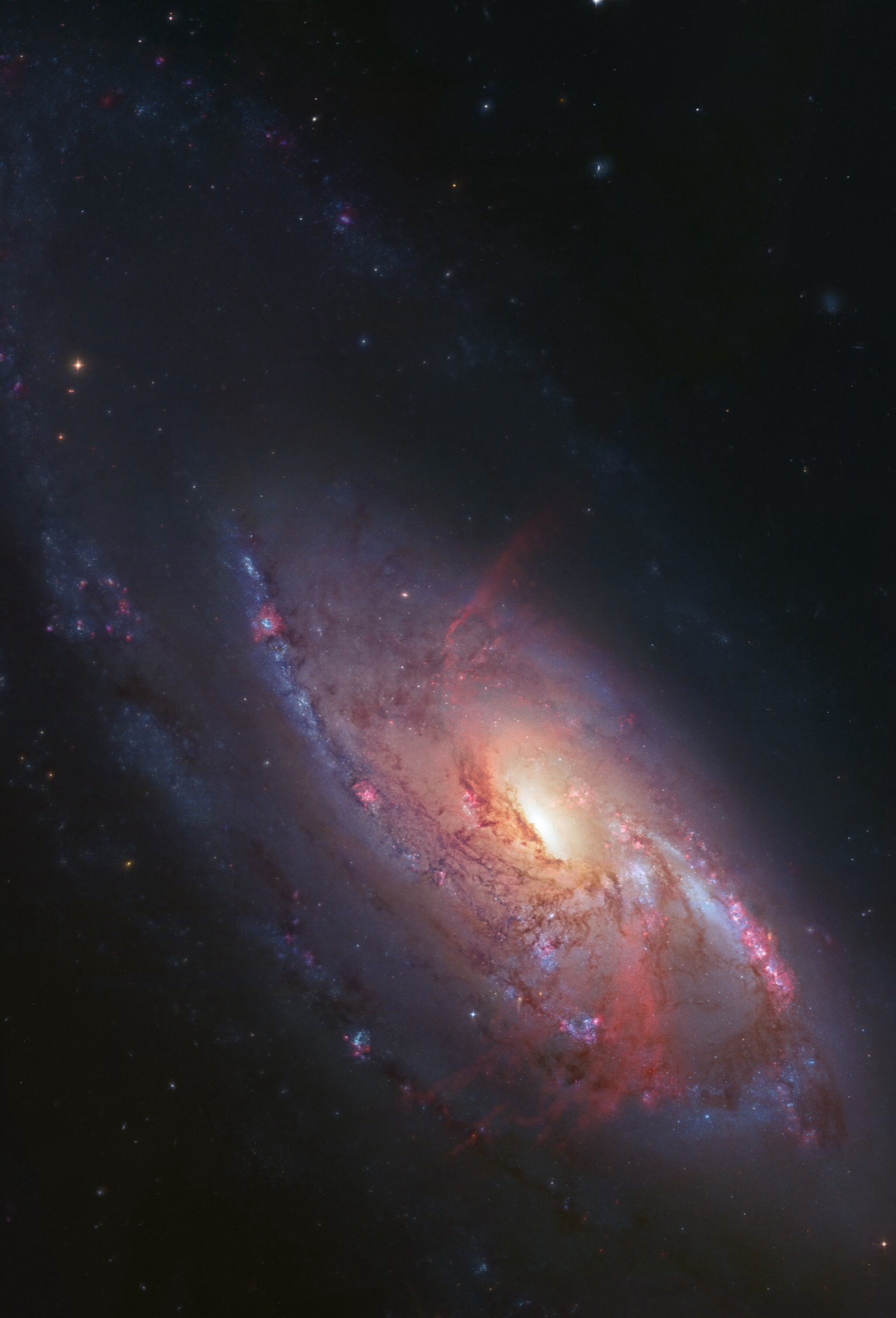 Billions and Billions - The Arms of M106 The spiral arms of bright ...