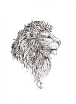 41 Free Download Tattoo Inspiration Lion Idea Tattoo Photos