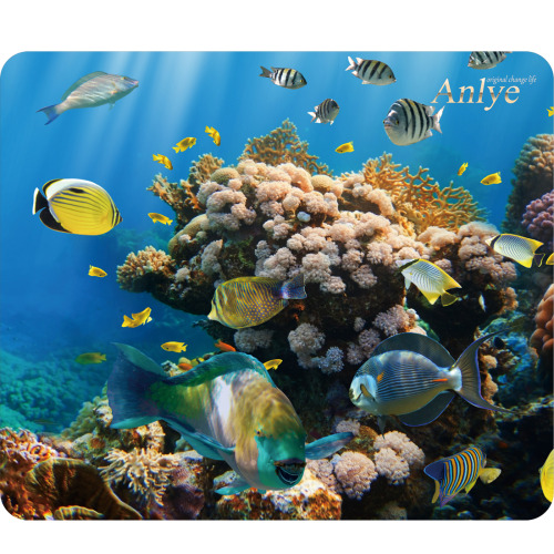 cool mouse pad mouse pad custom mouse pad computer decor computer ocean <3 beautiful amazing anlye original fish colorful panting office home decor