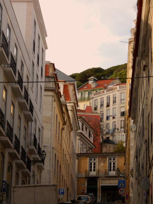 tepitome:Lisbon, Portugal. 2016.