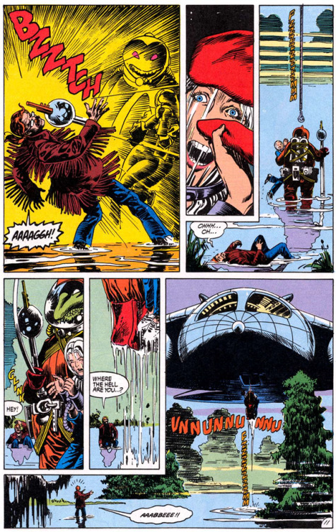 why-i-love-comics:Swamp Thing #81 - “Widowsweed” (1988)written...