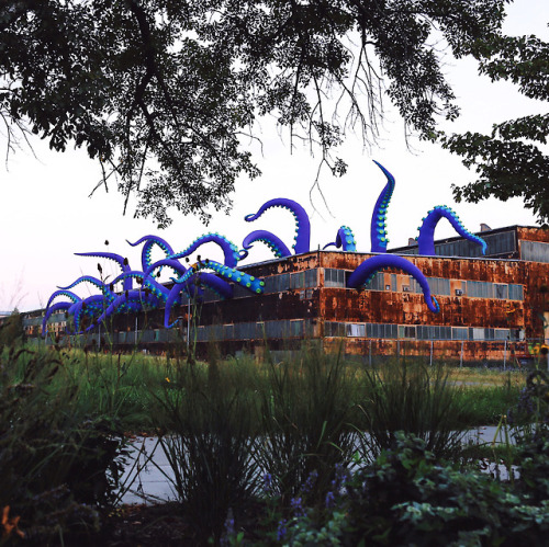 art inflatable installation sea monster Philadelphia Filthy Luker Pedro Estrella Group X Navy Yard